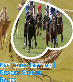 Best bets saturday racing