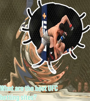 Best ufc betting site reddit