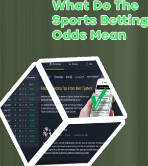 Betting site with the highest odds